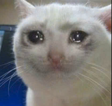 Huỳnh Nguyễn Minh Trí